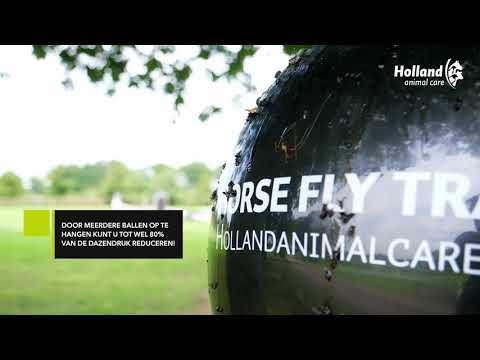 Professionele vliegenvallenlijm