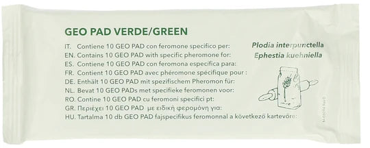 Geo Lijmplaat Levensmiddelenmot (Ephestia/Plodia)